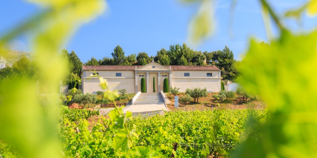 chateau-gassier-between-vines