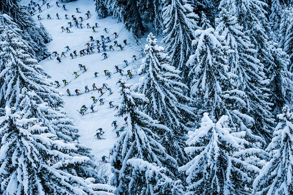 29186571_866242863547125_4705869329764188160_n